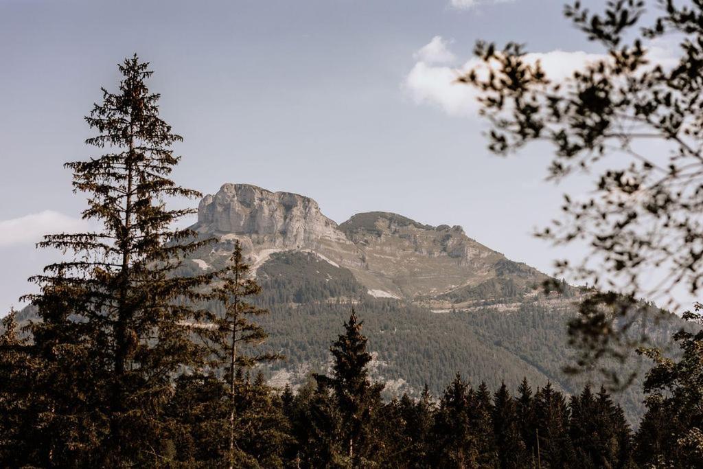 Das Schutzhaus-Bed And Breakfast-Dein Basislager Im Salzkammergut บาดเอาส์ซี ภายนอก รูปภาพ